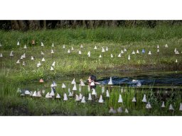 breek je schild vijver  kopieren